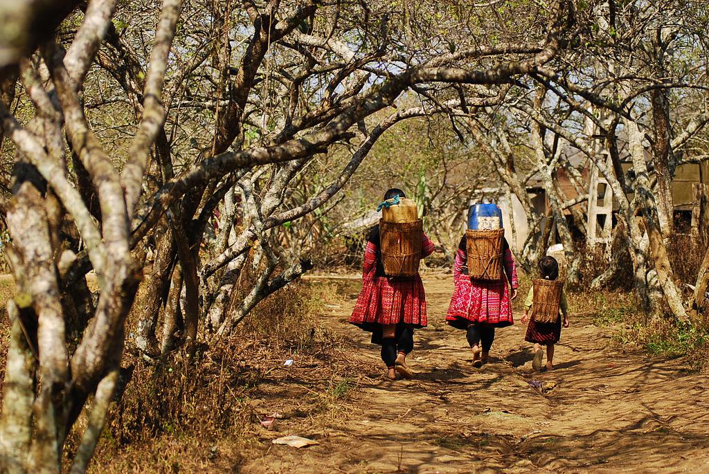 Bản Tả Phìn, Sapa. Ảnh: ngaymua
