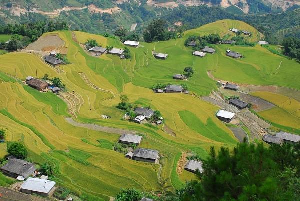 Du khách khó tính nhất chắc chắn cũng bị chinh phục bởi cảnh sắc ấn tượng này tại Hoàng Su Phì.