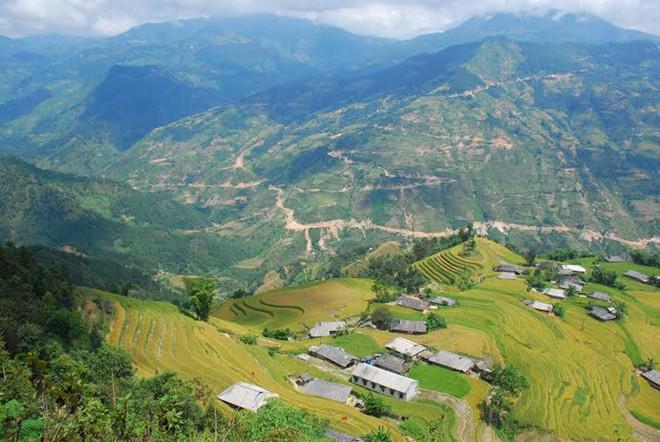 Hay có thể tha thẩn bước xuống những ruộng lúa đang ngả màu vàng óng để tận hưởng mùi thơm, ngai ngái, cùng hương vị giản dị của thiên nhiên.