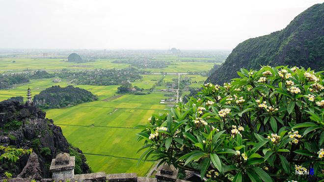 Từ đây, du khách có thể chiêm ngưỡng toàn bộ cảnh đẹp của khu Tam Cốc, danh thắng nổi tiếng ở Ninh Bình. Hang Múa còn được đầu tư xây dựng thành điểm du lịch sinh thái kết hợp thể thao leo núi.