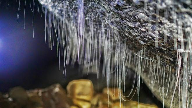 Những điều bắt gặp trong hang vẫn còn là một kho tàng bí ẩn với nhiều người. Với tấm hình trên, có người phán đoán đó là nhũ ống nhưng một số cho rằng đó là một loại côn trùng đã nhả tơ trên thạch nhũ.