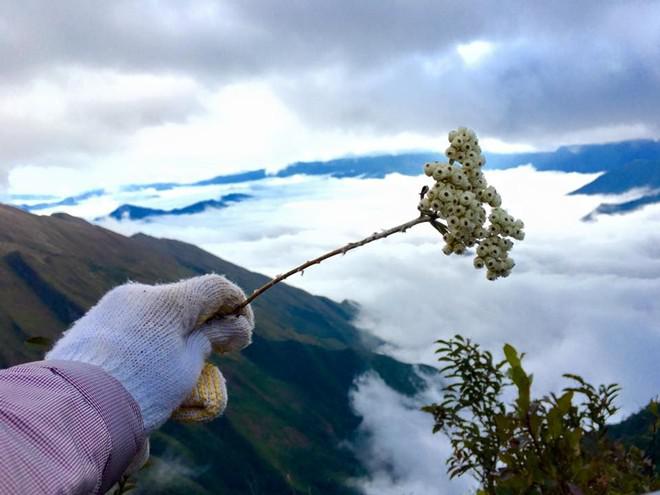 Nằm trong khối núi Pú Luông thuộc dãy Hoàng Liên Sơn, đường lên chinh phục ngọn núi cao thứ 6 Việt Nam này được đánh giá là rất khó khăn do địa hình khắc nghiệt, đòi hỏi sức bền và sự dẻo dai. Tuy nhiên vẻ đẹp của mây ngàn, gió núi lại rất cuốn hút những tay máy thích săn ảnh và dân phượt mê khám phá.