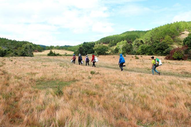 Con đường trekking đến đồi cỏ băng qua nhiều địa hình, từ đường đất đỏ men theo triền đồi trồng cà phê, dốc cao giữa đồi thông và cả những con suối nhỏ vắt ngang đường.