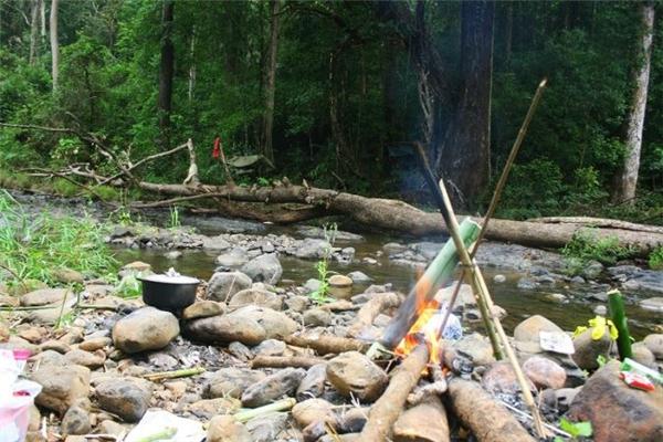 Tại đây bạn sẽ được đi khám phá các kiểu rừng, thả bè trên sông Cái, quan sát các loài động thực vật quý hiếm, tham quan di tích lịch sử trận địa đá Pi Năng Tắc, khám phá các hang động ven suối, tìm hiểu các sinh hoạt văn hóa truyền thống của hai cộng đồng Raglay và Churu. (Ảnh: Internet)