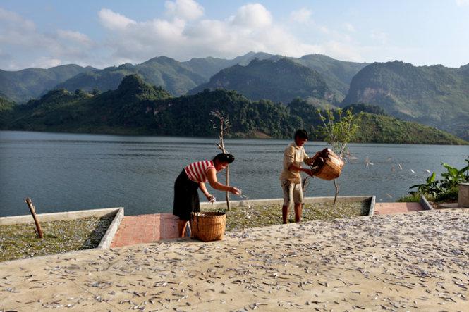 Phơi cá - Ảnh: Đức Hùng