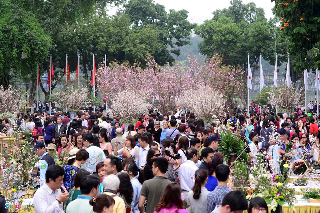 Sau khi lễ hội diễn ra, 200 cây hoa anh đào (trưng bày giữa sân quảng trường, có màu đỏ hồng) sẽ được chuyển đến trồng tại công viên Hòa Bình. Các chuyên gia Nhật Bản sẽ phụ trách việc chăm sóc, đảm bảo có hoa sau một năm.