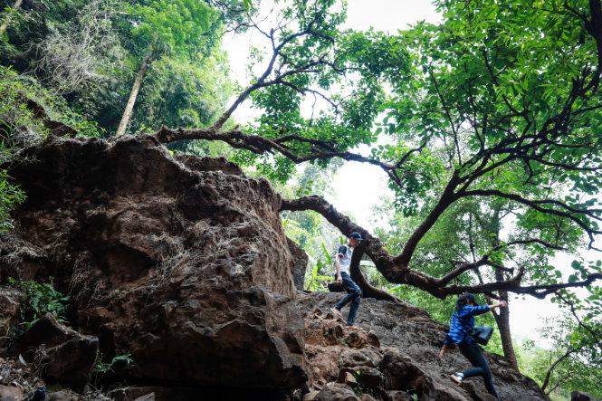 Bạn trẻ bám vào những cây cổ thụ, mỏm đá để xuống chân thác - Ảnh: Tiến Thành