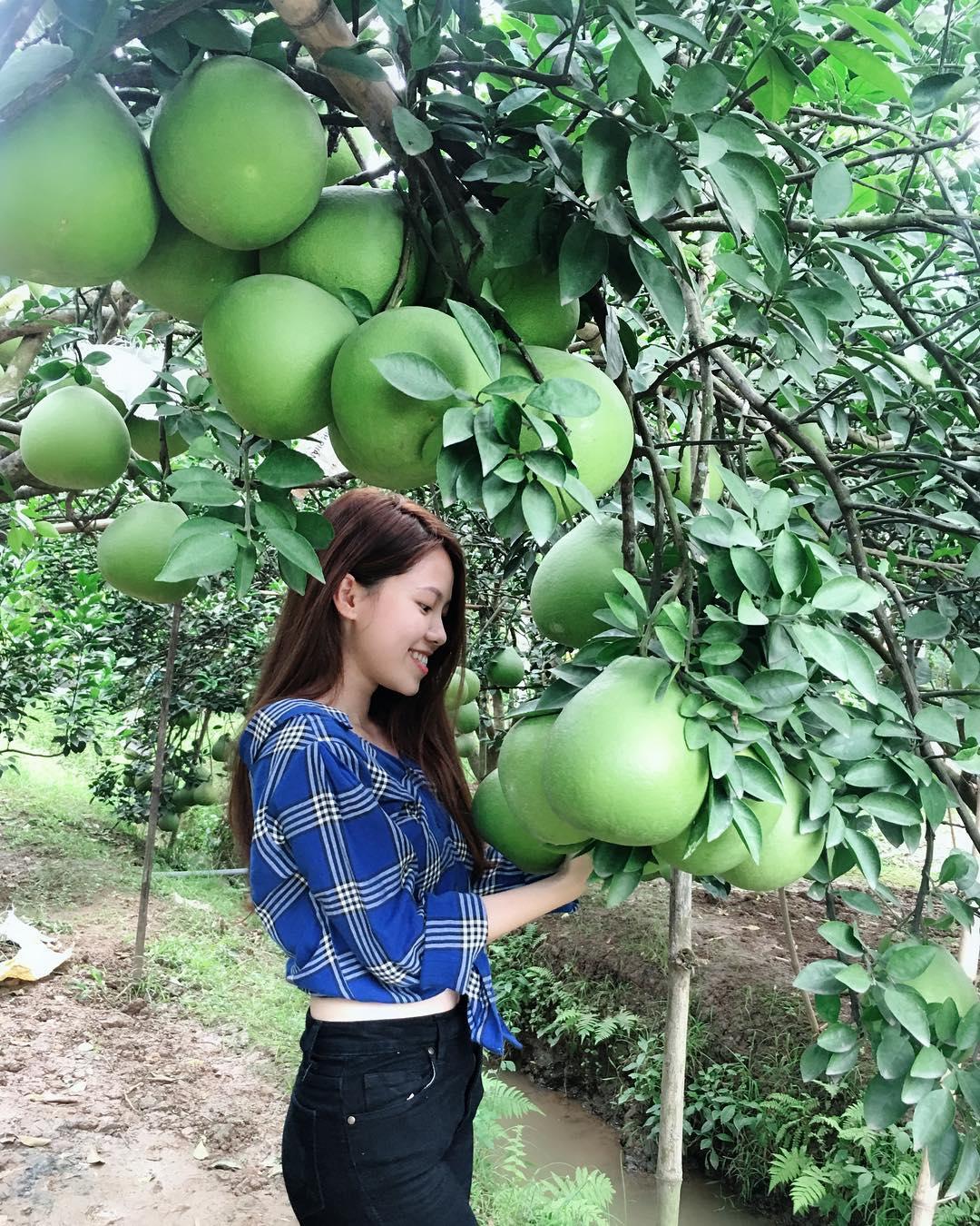 Ảnh: quynhdinh.207