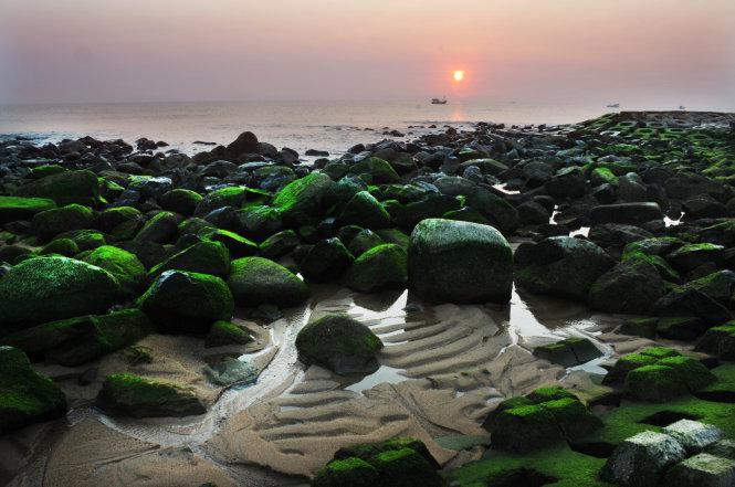 Bình minh huyền ảo trên bờ kè xanh ngắt màu rêu - Ảnh: Dương Thanh Xuân