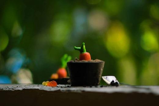 Bánh “ăn luôn chậu” không chỉ vui mắt mà còn mang đến niềm vui ăn uống bất ngờ cho những bạn trẻ Sài Gòn. Phần chậu được làm từ sô cô la khá giòn mà lại không quá ngọt, đăng đắng đúng chất sô cô la Bỉ, bên trong là phần “đất” là bánh oreo xay nhuyễn và thu hút sự chú ý là củ cà rốt làm bằng kẹo sữa mềm cực đáng yêu. (Ảnh: Internet)