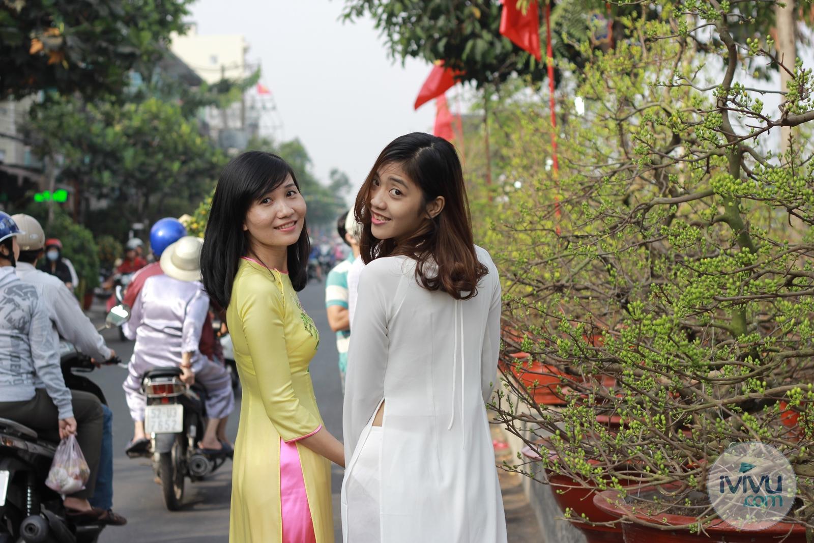 Đây là thời gian hoa nở đẹp nhất, vắng người nhất và có ánh sáng tốt nhất. Ảnh: DiLaDen.com