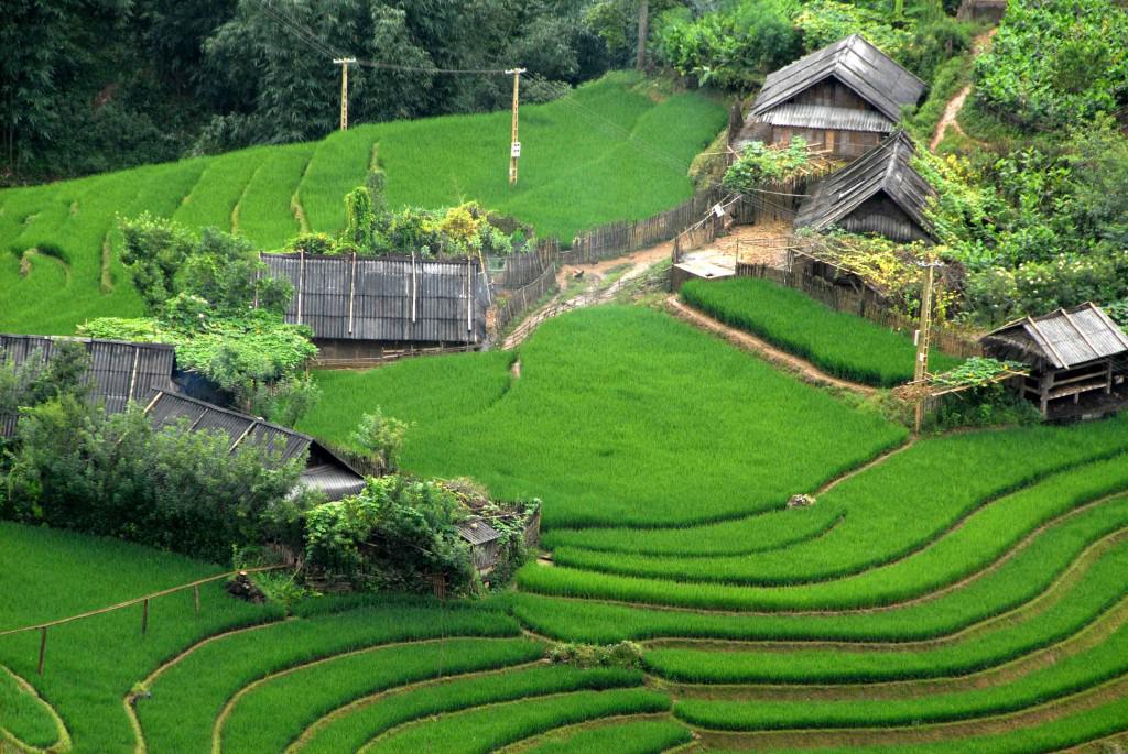 Khung cảnh yên bình của bản Cát Cát. Ảnh: dulichcauvong