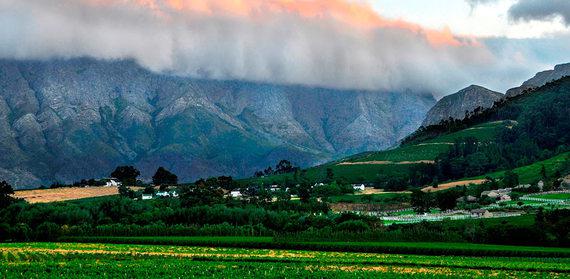 Thung lũng Napa, Nam Phi nằm cách Cape Town khoảng 75km. Đây là một thị trấn trồng nho kiểu Hà Lan, nơi sản xuất nhiều loại rượu vang nổi danh như Syrahs và Pinitages.