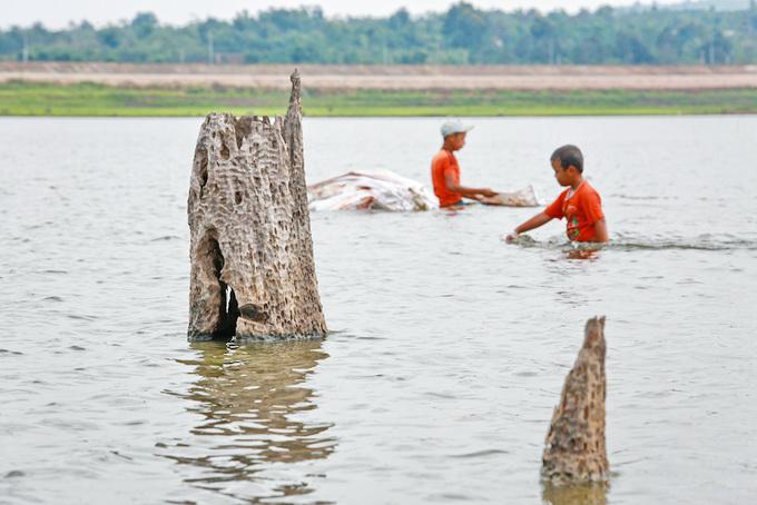 Những gốc cây khô cổ thụ còn sót lại trên lòng hồ Ea Kao - Ảnh: Tiến Thành