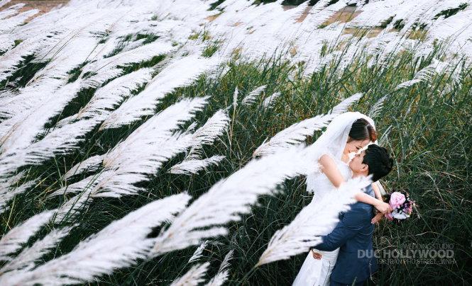 Nhiều đôi uyên ương chọn nơi đây để chụp bộ ảnh cưới tuyệt đẹp - Ảnh: Đức Hollywood