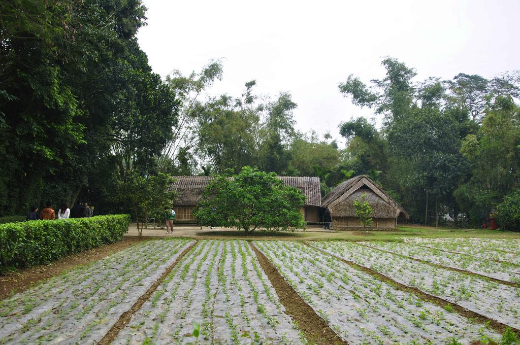 Không gian giản dị gần gũi với thiên nhiên. Ảnh: tinhte.vn