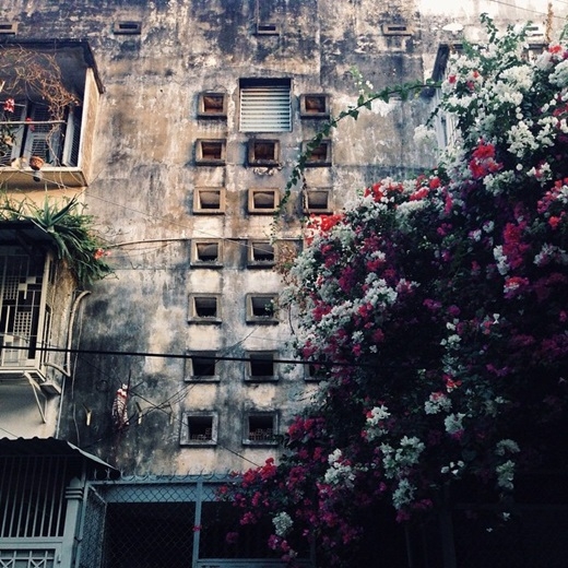 Một góc chung cư cũ e ấp đằng sau giàn hoa giấy (Nguồn IG @cuncam11).