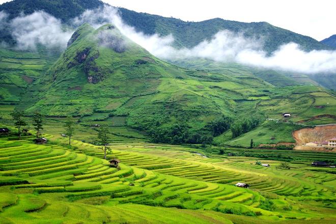 Khung cảnh ngày mới lên trên những thửa ruộng bậc thang nhìn từ Lìm Mông. Địa điểm này chỉ các trung tâm Tú Lệ khoảng 3 km, hướng đi tới đèo Khau Phạ. Người dân địa phương cho biết, lúa ở Lìm Mông sẽ chín đều trong khoảng hai tuần nữa (từ 20/9 đến 3/10). Du khách có thể cùng người thân, bạn bè tới đây ngắm lúa chín, cảm nhận cuộc sống thanh bình ngày mùa.