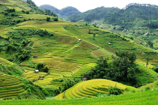 Một góc mùa vàng ở La Pán Tẩn - xã vùng cao của người H’Mông cách thị trấn Mù Cang Chải 15 km. La Pán Tẩn cùng với Chế Cu Nha và Dế Xu Phình là 3 xã được Bộ Văn hóa - Thể thao và Du lịch xếp hạng danh thắng di tích cấp quốc gia.