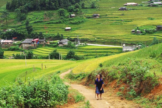 Chạy hết đèo Khau Phạ dài khoảng 40 km, một trong tứ đại đỉnh đèo của miền núi phía Bắc Việt Nam, bạn sẽ gặp một lối nhỏ đi bản Phình Hồ, cách thị trấn Mù Cang Chải 5 km. Con đường lên bản là một lối đi nhỏ dốc cao, càng lên càng gập ghềnh khó đi. Du khách muốn tham quan tìm hiểu phải gửi xe và đi bộ.