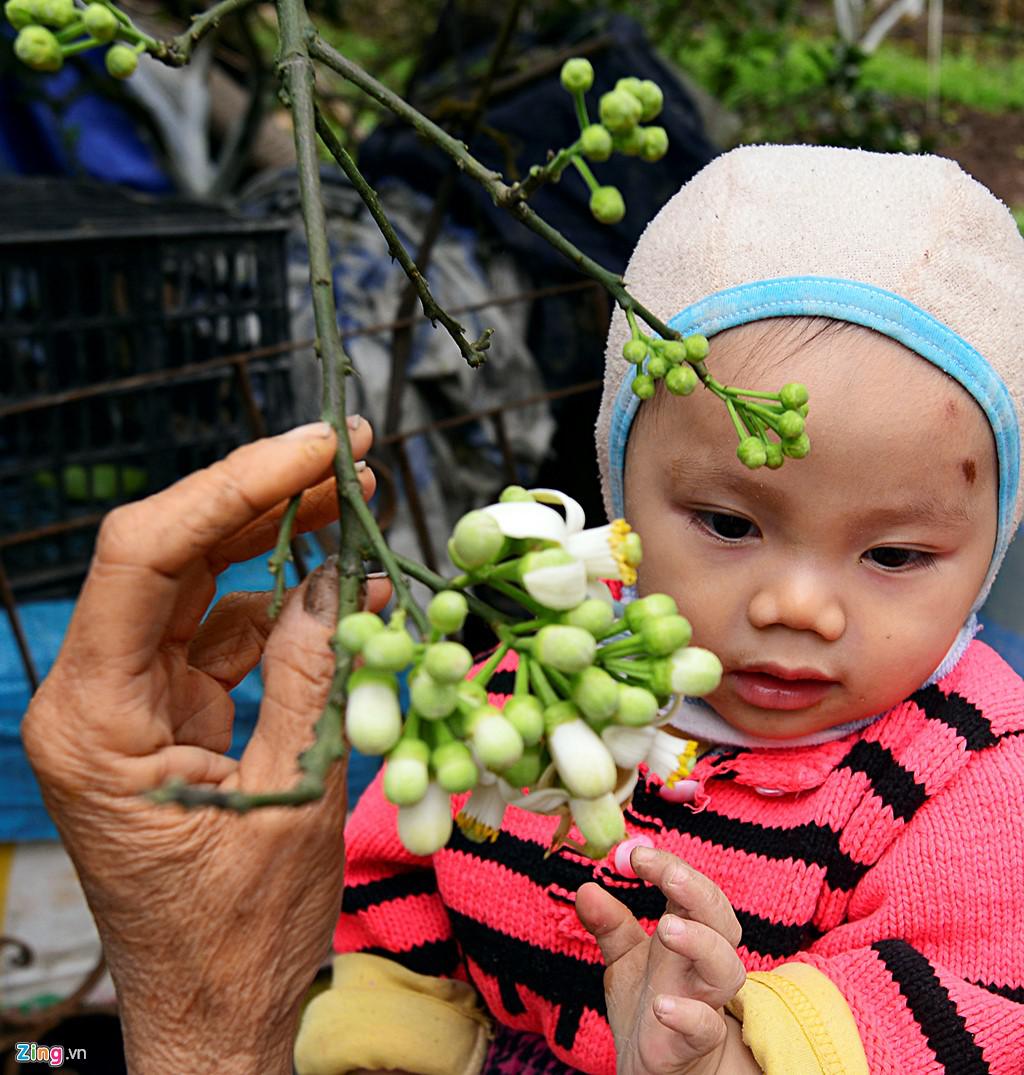 Hương hoa thơm dìu dịu, thoang thoảng, có chút ít ngào ngạt nhưng lại rất đỗi quen thuộc trong ký ức tuổi thơ của mỗi người.