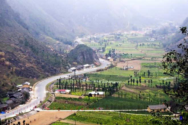 Thung lũng Lũng Cẩm yên bình với những nương ruộng sắc màu hoa cải, những hàng cây sa mộc thẳng tắp tô điểm giữa bốn bề núi đá.