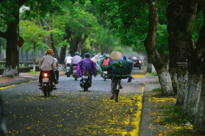 Hoa phượng vàng được trồng dọc các con phố Ngô Quyền, ngã ba Phan Bội Châu, Lê Lợi. Nơi đây thu hút nhiều du khách, cũng như những người yêu nhiếp ảnh tới để thỏa sức sáng tác.