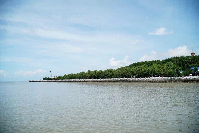 Năm 2009, vườn Quốc gia mũi Cà Mau được UNESCO công nhận là Khu dự trữ sinh quyển thế giới. Khu du lịch cũng cung cấp tour xuyên rừng bằng canô, giá một triệu đồng một chuyến cho tối đa 5 người. Vé vào cổng tham quan khu du lịch là 10.000 đồng một người, du khách có thể đi bộ hoặc ngồi xe điện tham quan với giá 10.000 đồng một lượt.