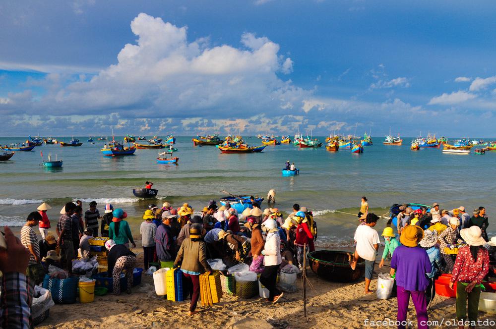 Đến đây bạn cũng đừng bỏ lỡ dịp hòa mình vào phiên chợ cá sôi động đầy màu sắc với đủ những âm thanh rộn rã của một ngày mới. Ảnh: Mèo Già