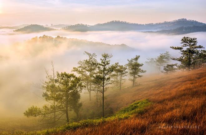 Đồi cỏ hồng chuyển thành màu cỏ cháy, được mệnh danh là thung lũng vàng duy nhất ở Đà Lạt.