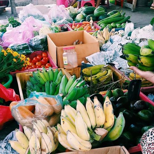 Sắc màu của buổi chợ sáng dưới ống kính của Trần Huyền trong làng chài nhỏ ở vịnh Vĩnh Hy với đủ loại hải sản, thực phẩm tươi sống.
