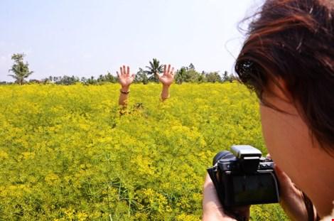 Các bạn trẻ rủ nhau thưởng lãm mùa hoa cải hiếm hoi ở xứ nhiệt đới trong cái lành lạnh đầu đông.