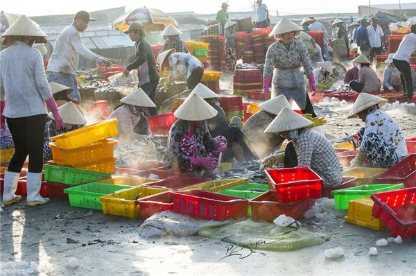 Mọi khâu đều được chuyên nghiệp hóa nên rất nhanh chóng và thuận lợi, đảm bảo nguồn hải sản tươi sống nhất đến với các điểm phân phối trước lúc mặt trời mọc. (Ảnh: Nguyễn Vũ Phước)