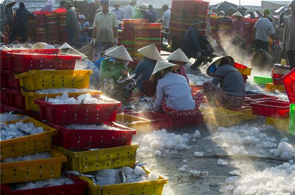 Mọi người ở cảng cá Long Hải phối hợp với nhau rất nhịp nhàng và có trật tự. (Ảnh: Nguyễn Vũ Phước)