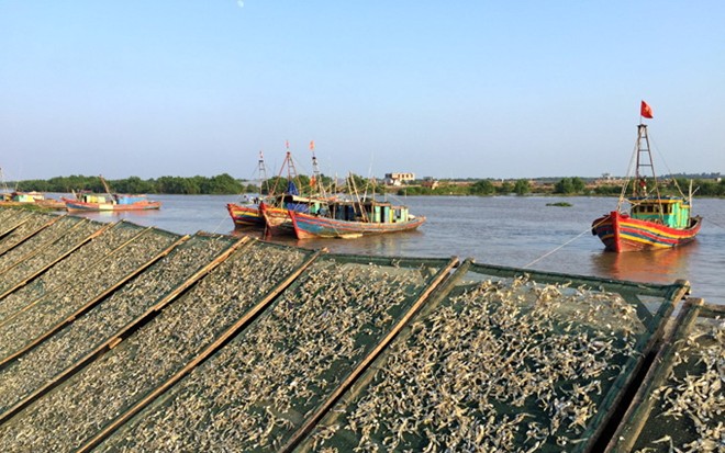 Trên triền đê sông Diêm Hộ. Ảnh: Băng Giang.