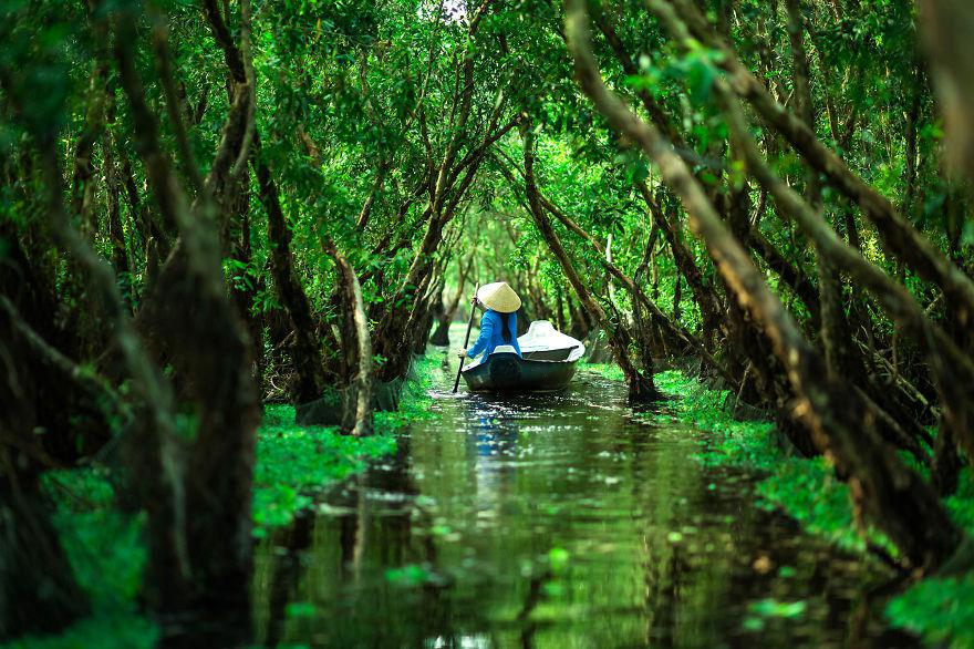 Rừng tràm Trà Sư, Châu Đốc, An Giang.