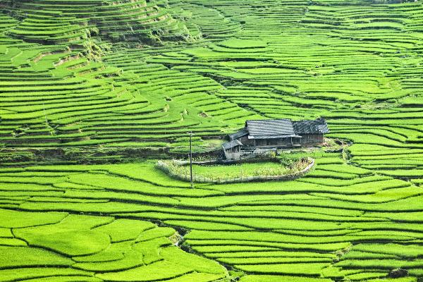 Sapa - một trong những điểm đến tươi đẹp nhất Việt Nam.