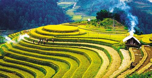 Ruộng bậc thang đẹp như tranh vẽ ở Mù Cang Chải