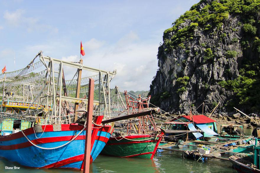 Những con thuyền neo đậu ở Cát Bà.