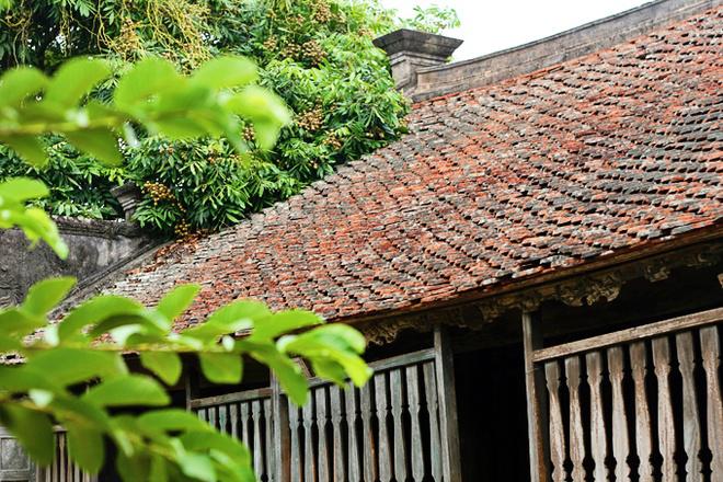 Điều đặc biệt nằm ở mái ngói của ngôi nhà. Theo lời kể lại, thì mái nhà này được lợp duy nhất từ loại ngói ta theo kiểu bít đốc cổ truyền, tới nay vẫn chưa bị dột nát. Trước khi đem ngói lợp thì người thợ dùng nước mù hóng đặc ngâm ngói nhiều giờ rồi đem phơi khô. Tiếp theo người ta lấy lần lượt hai viên ngói gõ vào nhau nếu viên nào rạn nứt hoặc vỡ thì bị loại. Để lấy ngói tốt lợp ngôi nhà này nhân công đã phải đốt hàng vạn viên. Những viên gạch ngói đỏ hửng dưới nắng cùng màu xanh của rêu phong và cây cối sẽ để lại những hình ảnh đẹp trong lòng bạn.