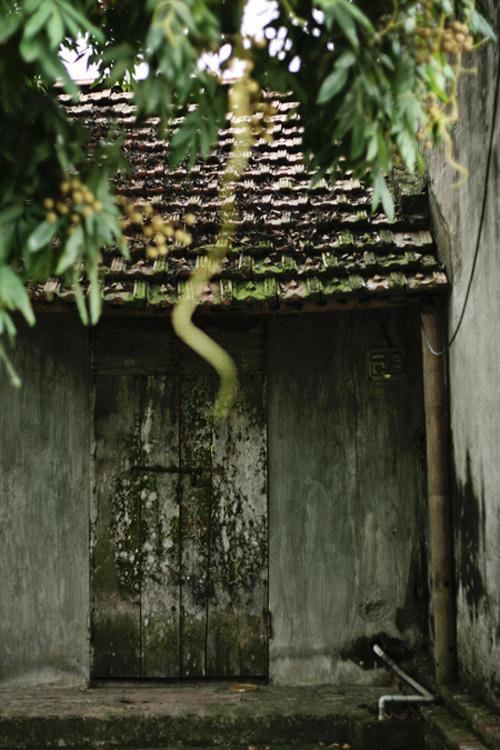 Một điều thú vị khác ở ngôi nhà này là để xây dựng được nó, những người thợ đã trộn mật mía, bồ hóng vào vôi và thêm một số phụ gia khác để làm thành hồ xây. Gạch dùng xây tường được nung trên ngọn lửa rơm, cho nên đi qua bao thăng trầm nó vẫn kiên cố và ít hư hao.