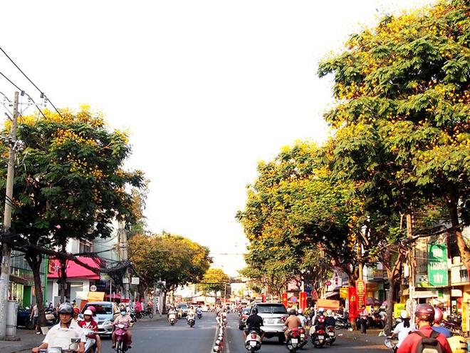 Đường Nguyễn Thị Minh Khai nổi bật với những cây điệp vàng nở rộ.
