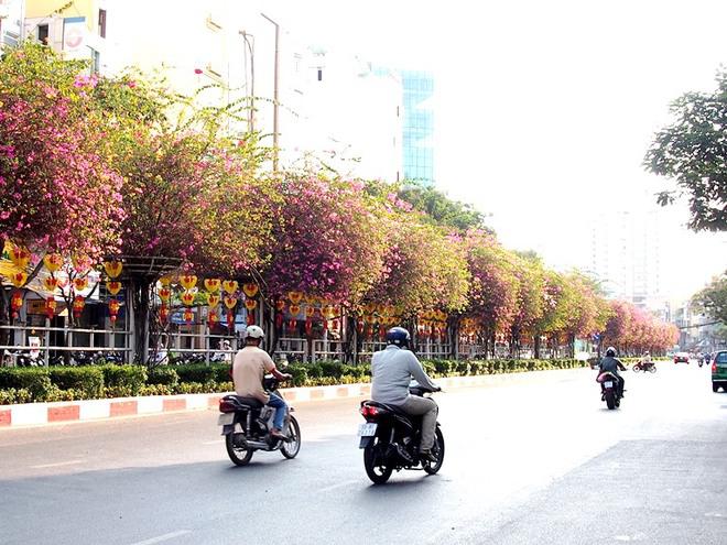 Giàn hoa giấy khoe sắc trên đường Hoàng Diệu, quận 4.