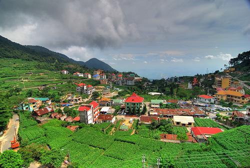 Ngọn su su và trái cây như chuối, mít là những món ăn ngon tại Tam Đảo.
