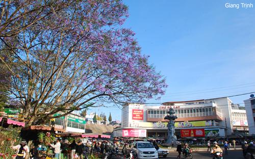 Buổi sáng đầu tiên, bạn nên ăn thử bún Thiên Trang, phở Hoàng Văn Thụ để cảm nhận thói quen của người Đà Lạt. Giá một bát chỉ khoảng 18.000 - 25.000 đồng một bát. Ảnh: Giang Trịnh.