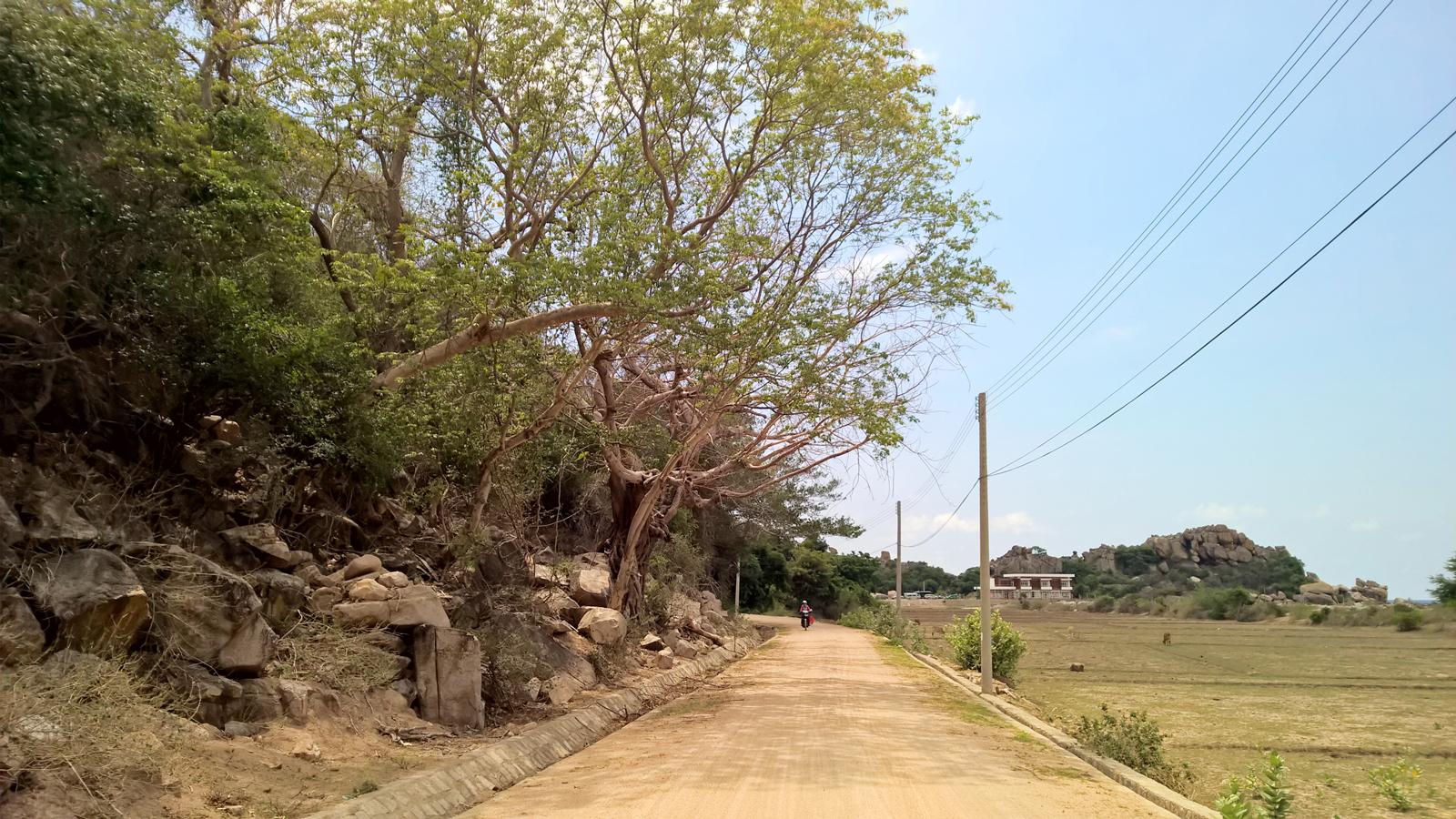 Đường vào hang Rái