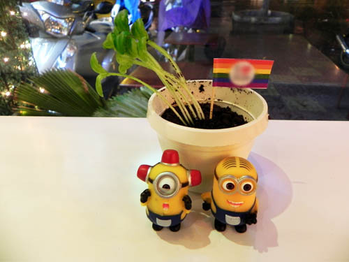 Kem chậu cây: Thoạt đầu mới nhìn qua, bạn có thể sẽ nhầm lẫn đây là một chậu cây trang trí cho cửa hàng, chứ khó lòng nghĩ đó là một phần kem phục vụ cho thực khách. Đó là một chậu cây thực sự với phần kem ở trong có màu nâu tơi xốp như đất, một nhánh cây mọc lên và chiếc lá xanh tươi tắn.  Khi ăn, bạn sẽ cảm nhận được vị ngọt lẫn mát lạnh của kem chocolate phía dưới, bên trên là mùi thơm dễ chịu và đắng nhẹ của bánh oreon. Các công đoạn chế biến món này không mất quá nhiều thời gian, mà chỉ tầm 5 phút. Giá một chậu cây là 45.000 đồng.