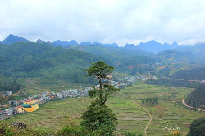 Cánh đồng Làng Nghiến như một bức tranh màu nước tuyệt đẹp.
