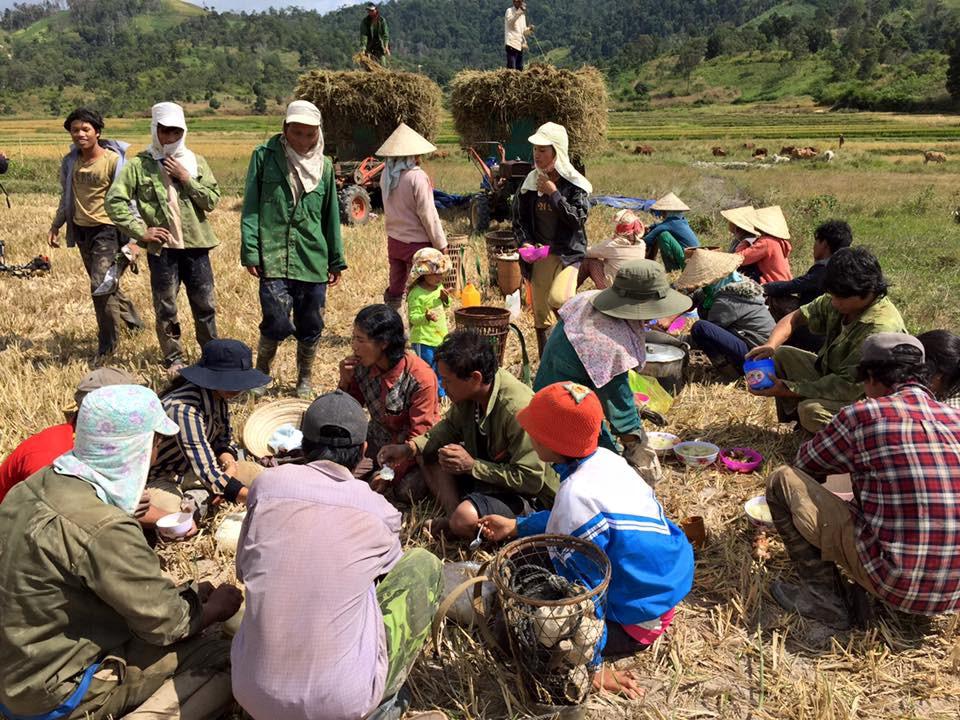 Người nông dân vui vẻ tụ tập nghỉ ngơi và ăn trưa dưới chân núi.