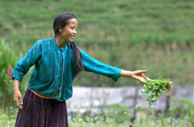 Cô gái trên cánh đồng hoa màu - Ảnh: MUM